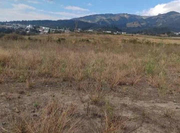 Arriendo Terreno en Pifo a La Vía Principal — imagen 3