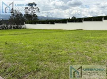 Terreno en Puembo — imagen 3
