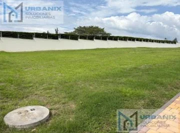 Terreno en Puembo — imagen 2
