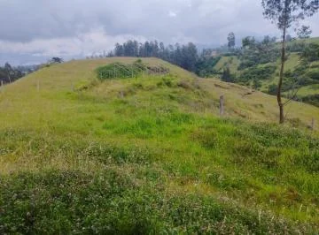Terreno en Venta, Pintag 65,648.75 m² — imagen 3
