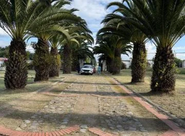Oportunidad Única de Inversión en Tumbaco — imagen 3