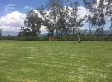 Puembo - Cerca Al Parque, Hermoso Terreno de 3.500 m² en Venta — imagen 4