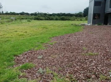 Arriendo Terreno Comercial en Pifo Sector Chantag — imagen 3