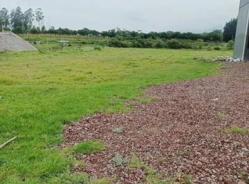 Arriendo Terreno Comercial en Pifo Sector Chantag — imagen 2