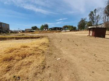 Se Arrienda Terreno Sector Llano Chico — imagen 5
