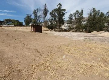 Se Arrienda Terreno Sector Llano Chico — imagen 4