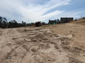 Se Arrienda Terreno Sector Llano Chico — imagen 2