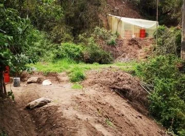 Arriendo - 1 Hectarea en Tumbaco Sector Guagrahuma a 5 Min Colegio Pachamama — imagen 4
