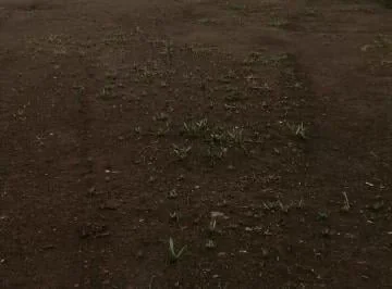 Se Arrienda Terreno Sector Parque Bicentenario - Antiguo Aeropuerto — imagen 3