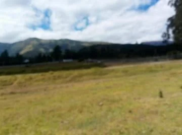Pifo Arriendo Terreno de 40.000 en Oyambaro — imagen 4