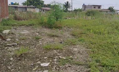 Terreno en venta en Naranjal — imagen 5