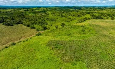 Terreno en venta en Naranjal — imagen 4