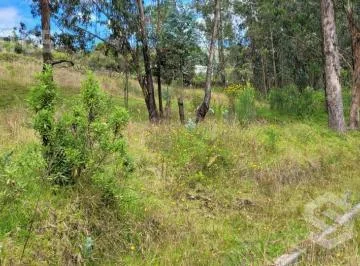 Venta de Terreno Sector La Macarena — imagen 5