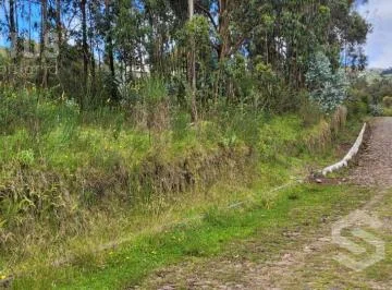 Venta de Terreno Sector La Macarena — imagen 4
