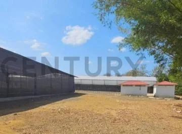 Hacienda Productora de Biomasa de Cbd — imagen 4