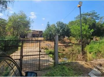 Hacienda Productora de Biomasa de Cbd — imagen 2