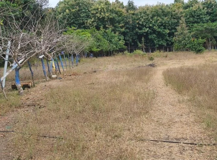 En Arriendo Terreno Chongon Sector Casas Viejas - A. Maidana, Guayas — imagen 1