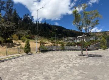 Vendo Terreno en Tumbaco Sector Intervalles — imagen 3