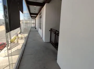 Vendo Local Comercial 262 m, Sector Santa Lucía — imagen 3