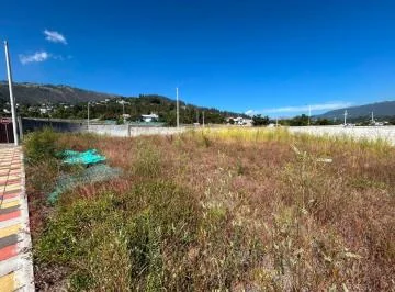 Se Arrienda Terreno en Via Principal de La Ruta Viva Tumbaco — imagen 5