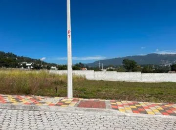 Se Arrienda Terreno en Via Principal de La Ruta Viva Tumbaco — imagen 3