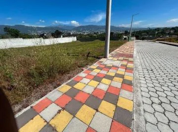 Se Arrienda Terreno en Via Principal de La Ruta Viva Tumbaco — imagen 2