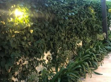 Preciosa Casa Remodelada La Primavera — imagen 2