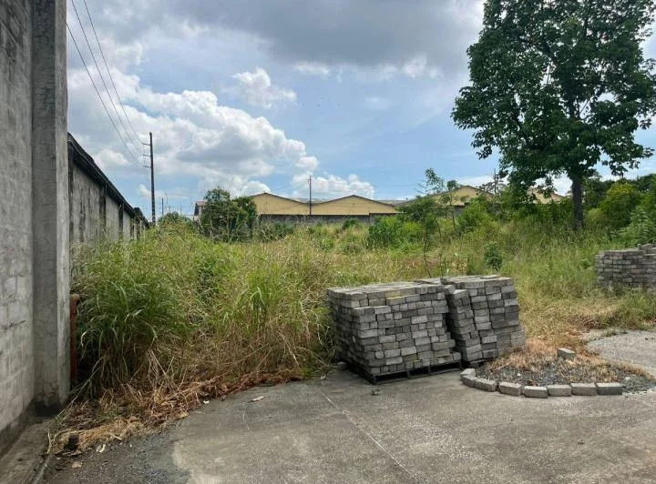 Terreno en Alquiler 13.000 m² - Vía a Daule Km 12.5 - Vía Perimetral - Norte de Guayaquil, Guayas — imagen 1