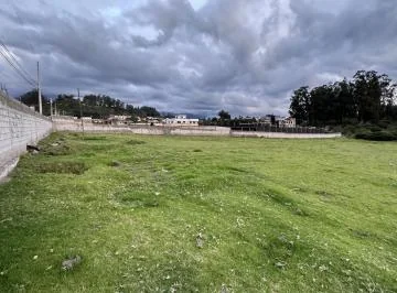 Terreno en Alquiler Pifo Carreterra Panamericana Via Aeropuerto — imagen 5