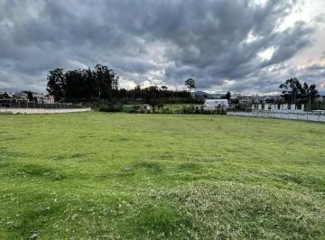 Terreno en Alquiler Pifo Carreterra Panamericana Via Aeropuerto — imagen 4