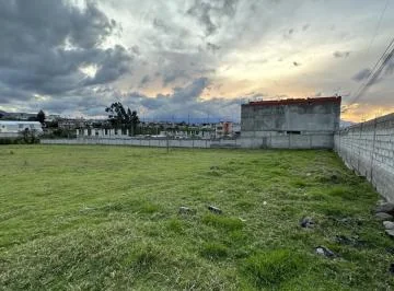 Terreno en Alquiler Pifo Carreterra Panamericana Via Aeropuerto — imagen 3