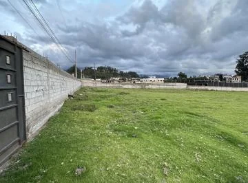 Terreno en Alquiler Pifo Carreterra Panamericana Via Aeropuerto — imagen 2