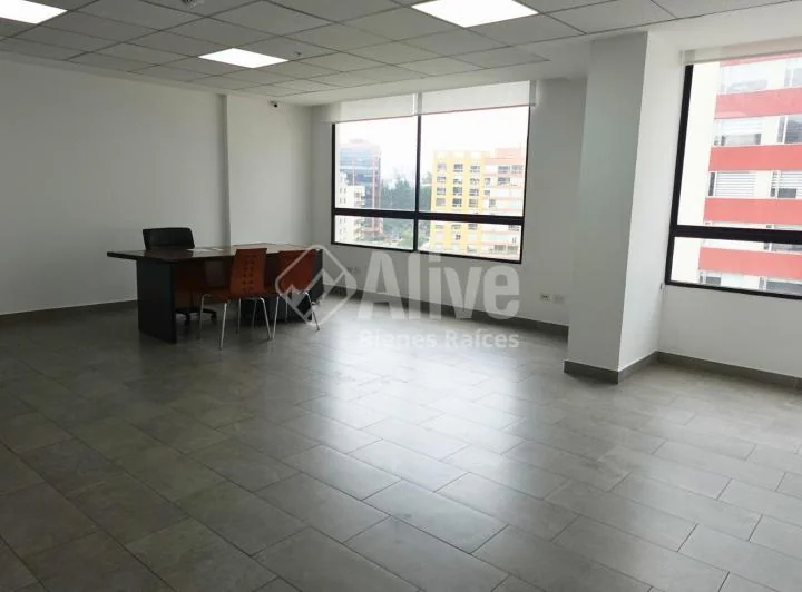 Oficina de Venta en La Carolina — imagen 1