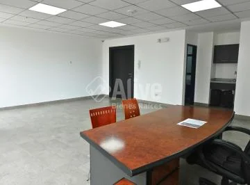 Oficina de Venta en La Carolina — imagen 4
