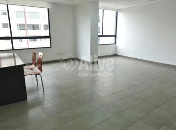 Oficina de Venta en La Carolina — imagen 2