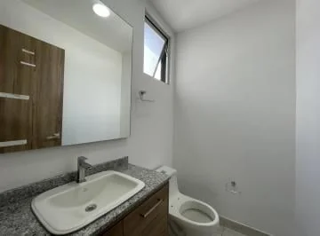 Oficina de Venta en Quito Sector Hospital Eugenio Espejo — imagen 3