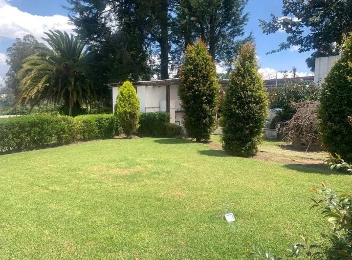 Venta Casa con Terreno 800 m Sector Pifo — imagen 1