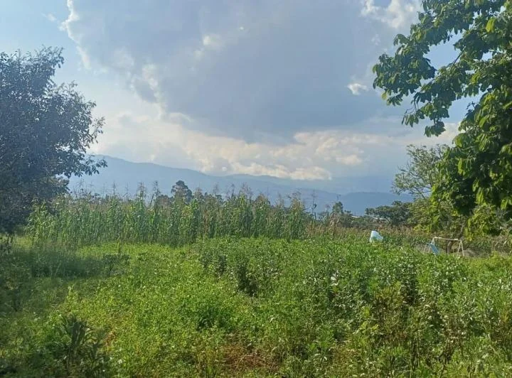 Terreno en Alangasí — imagen 1
