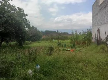 Terreno en Alangasí — imagen 3
