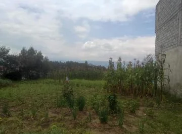 Terreno en Alangasí — imagen 2