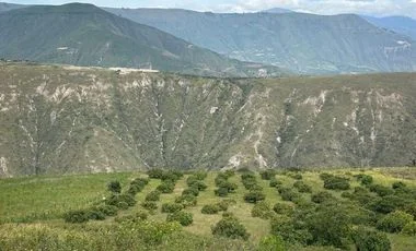 Terreno en venta en Bolivar — imagen 4