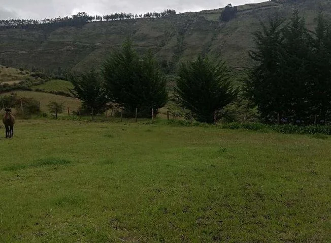 Terreno en venta en Bolivar — imagen 3