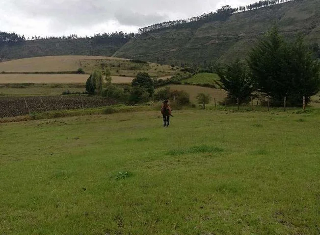 Terreno en venta en Bolivar — imagen 2