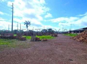 Venta de Terreno, Galpones y Oficinas en Petrillo, Nobol J. Zav, Guayas — imagen 3