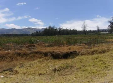 Vendo Terreno en Checa 34,30 Hectáreas $ — imagen 4