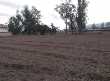 Vendo Terreno de 34295 m en Puembo — imagen 5