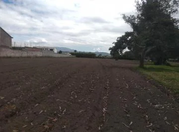 Vendo Terreno de 34295 m en Puembo — imagen 4