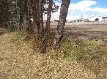 Vendo Terreno de 34295 m en Puembo — imagen 2