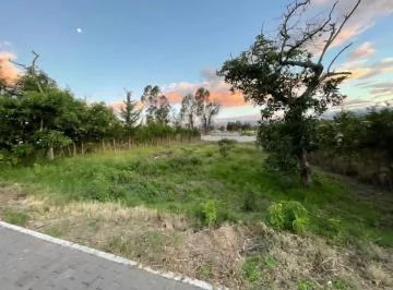 Terreno en Urbanización Exclusiva en Puembo — imagen 5