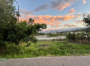 Terreno en Urbanización Exclusiva en Puembo — imagen 4